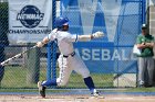 Baseball vs Babson  Wheaton College Baseball vs Babson during Championship game of the NEWMAC Championship hosted by Wheaton. - (Photo by Keith Nordstrom) : Wheaton, baseball, NEWMAC